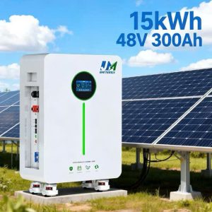 Pin Lưu Trữ Lithium JM Batteries